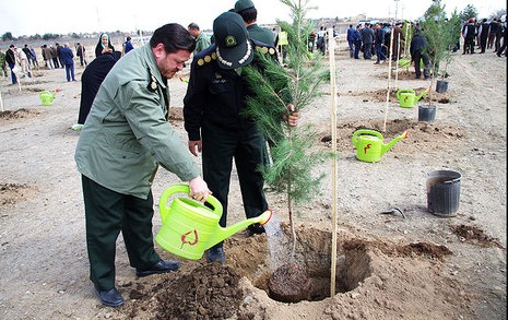 کارمندان بسیجی مشهد ۲ هزار نهال کاشتند