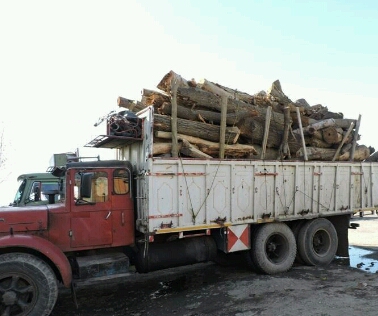 توقیف 50 تن چوب قاچاق در بجنورد