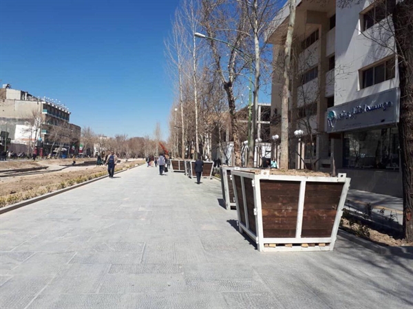 کاشت درختان جدید در محور میانی چهارباغ عباسی اصفهان