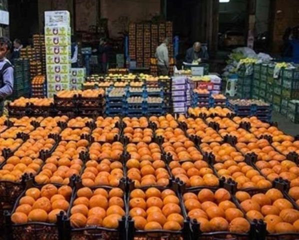 ذخیره سازی 1400 تن سیب وپرتقال برای تعطیلات نوروزی