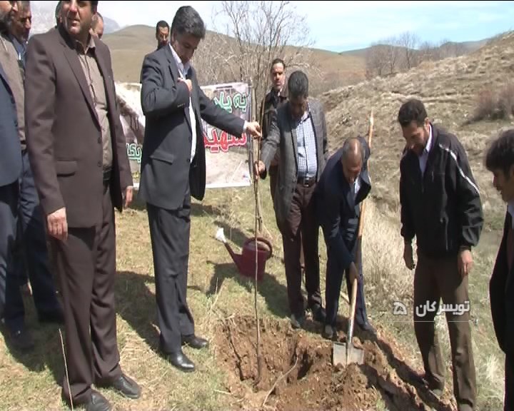 آغاز جنگل و کپه کاری در خانگرمز تویسرکان