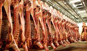 توزیع گوشت  وارداتی در خوزستان از امروز