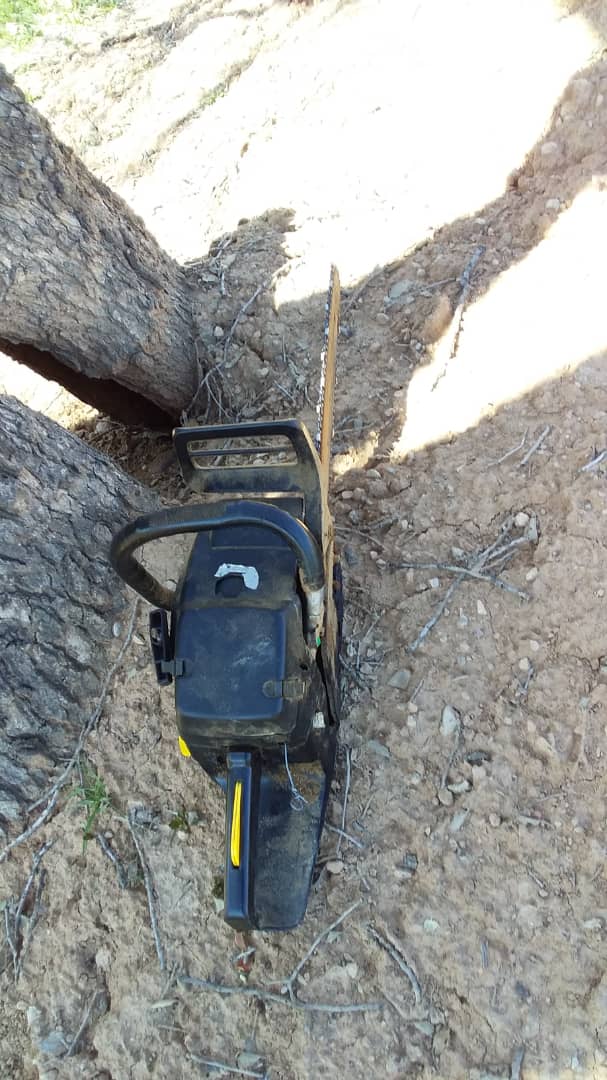 دستگیری متخلف با یک دستگاه اره موتوری پیش از قطع درختان