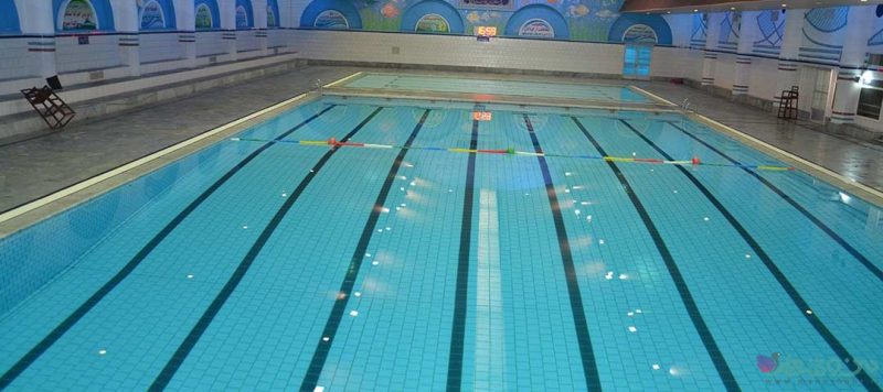 رقابت سه نفره برای سکانداری شنای استان