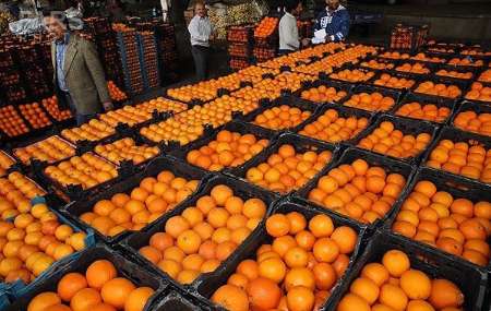 عرضه میوه طرح تنظیم بازار از فردا در فارس