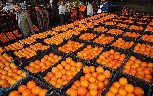 توزیع 70 تن میوه در پنج نقطه شهرستان