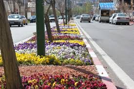 آغاز کاشت بیش از ۱۰۲ هزار شاخه گل در شهرکرد