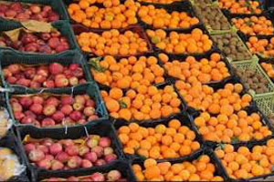 توزیع بیش از ۲ هزار تن میوه در فارس