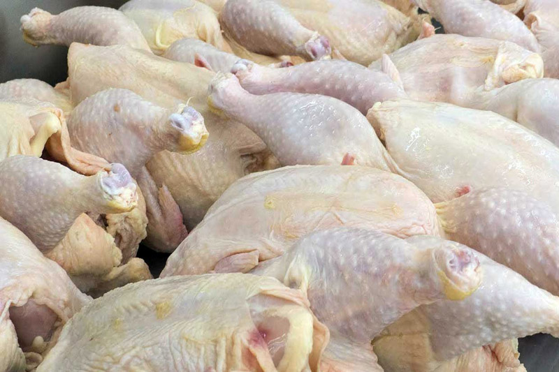 توزیع روزانه ۲۵تن مرغ گرم به قیمت مصوب