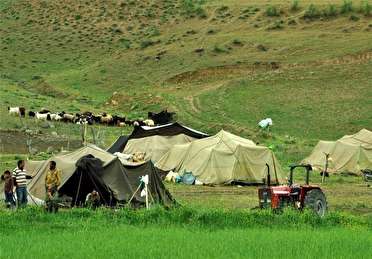 ممیزی مراتع 350 خانوار عشایری شیروان در مراوه تپه و گلستان