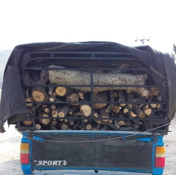 کشف و ضبط یک محموله قاچاق چوب بلوط در استان