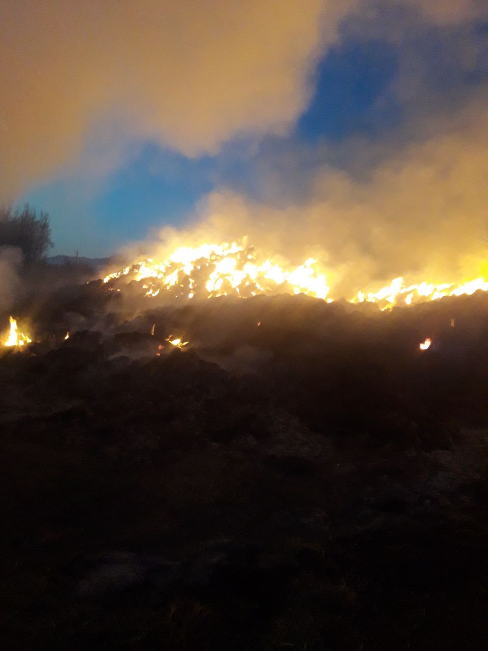 آتش سوزی گسترده در یک واحد بزرگ گاوداری در شهرستان ساوجبلاغ