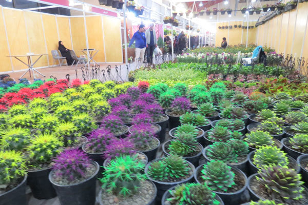 نمایشگاه گل و گیاه در کرمانشاه برگزار می‌شود