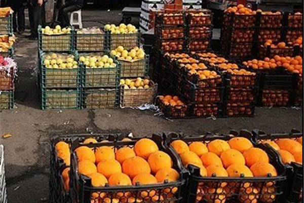 محصولات باغی استان در اولویت خرید میوه شب عید امسال