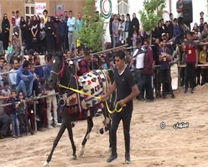 همایش زیبایی اسبان فلات ایران در استهبان