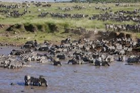 نجات خانوارهای عشایر گرفتار سیل