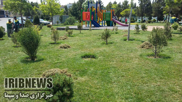 آبیاری 90درصد فضای سبز شهری زنجان با آب غیر شرب