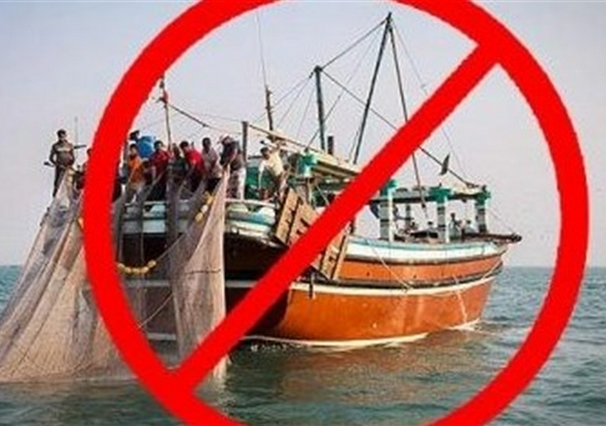 ممنوعیت صید ماهی حلوا سفید در آب های خوزستان