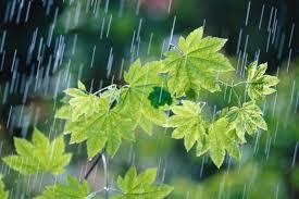 باد و باران از عصر امروز تا سه شنبه در گلستان