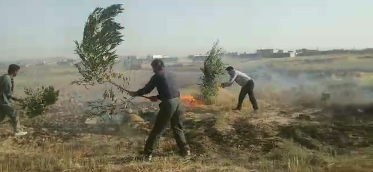 آتش سوزی مراتع کشاورزی کهگیلویه
