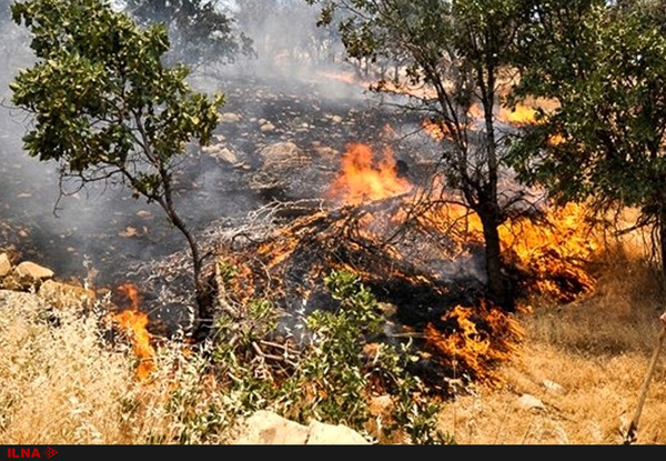 خسارت آتش سوزی در پارک ملی کرخه