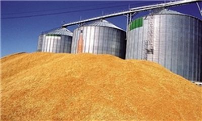 خرید بیش از 100 هزار تن گندم به صورت تضمینی در خراسان رضوی
