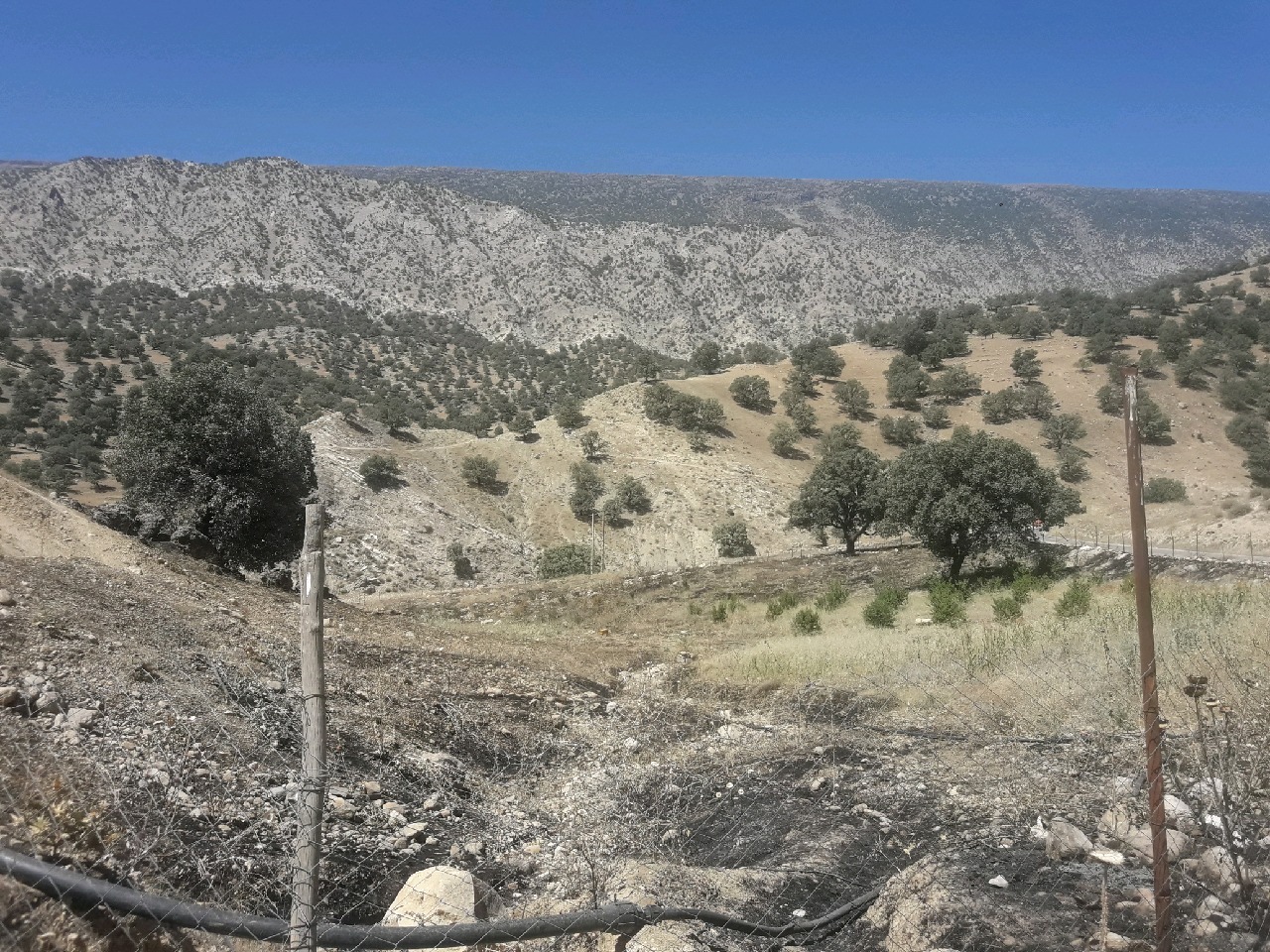 آتش سوزی باغ یک هکتاری در ادرج قلعه رئیسی
