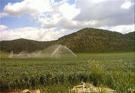 کاهش مصرف آب اولویت برنامه های وزارت نیرو و جهاد کشاورزی