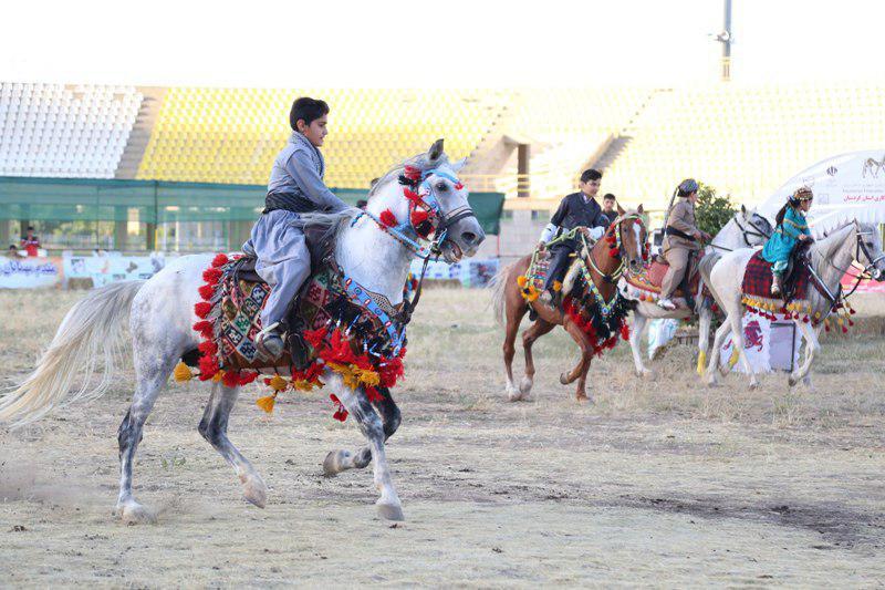 پایان جشنواره ملی اسب کُرد در سنندج