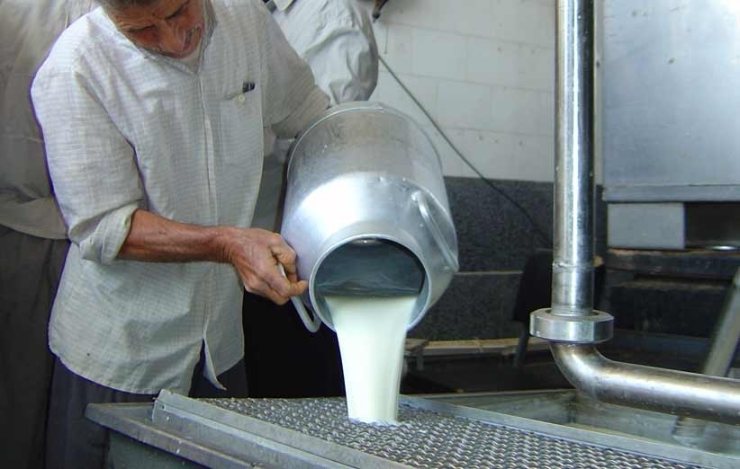 خرید تضمینی شیر خام در استان قزوین