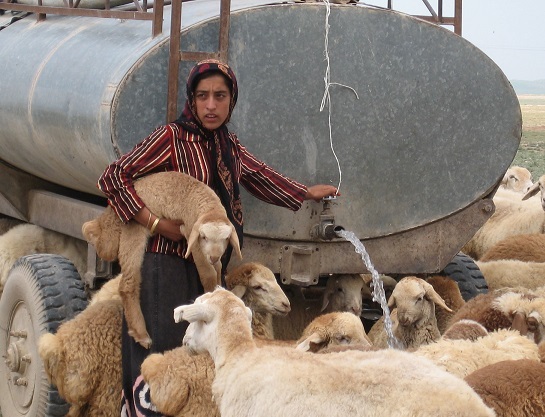 کاهش اعتبارات امور عشایری شهرستان کرمانشاه و دردسرهای بی آبی