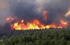 آتش سوزی در کوه برز فیروزآباد