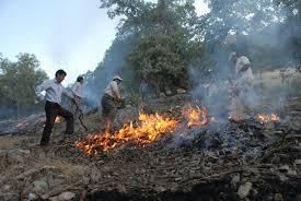 آتش سوزی۱۱۸ هکتار از جنگل‌های استان