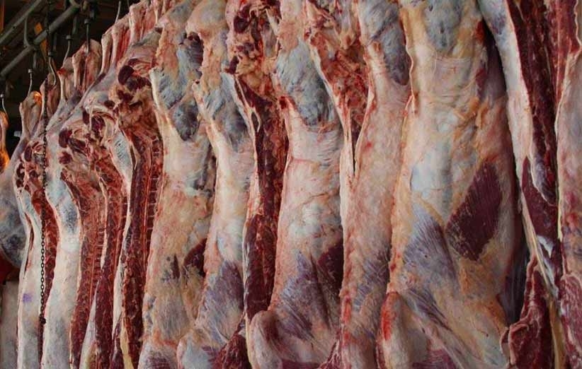 شبکه توزیع گوشت گرم وارداتی، باید شفاف سازی شود
