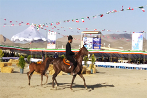 برگزاری جشنواره نمایش اسب فلات ایران در خوانسار