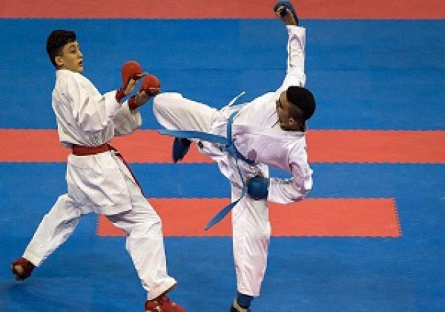درخشش تیم کاراته استان در رقابت های قهرمانی کشور