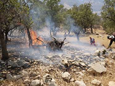 مهار آتش سوزی جنگل های کبگیان بویراحمد