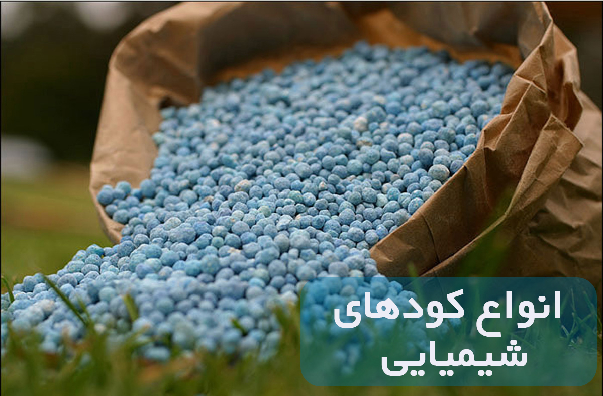 ۱۲۴ هزارتن کود شیمیایی به کشاورزان استان های شمالی داده شد