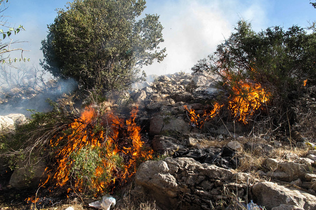 آتش سوزی در منابع طبیعی روستای سقاوه مارگون