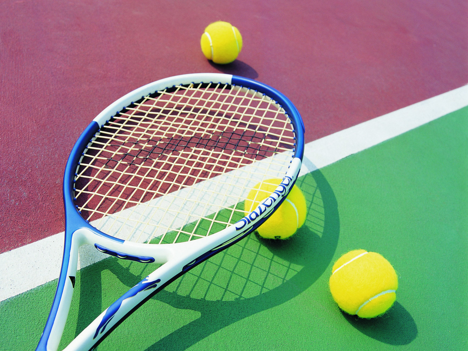 پایان رقابت‌های تنیس روی میز دانشجویان پسر کشور