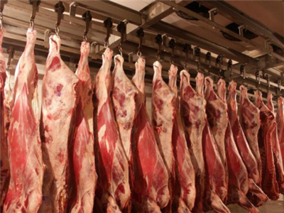 توزیع گوشت گرم گوسفندی با نرخ مصوب دولتی در شهر کرمانشاه