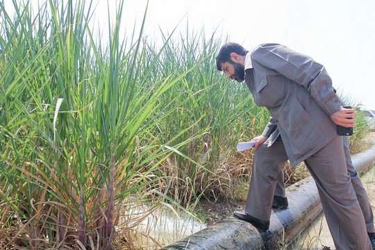 جبران کمبود آب توسعه نیشکر خوزستان