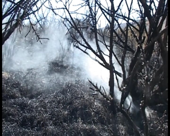 گرما و خشکسالی علت آتش سوزی مراتع