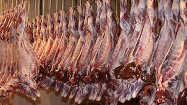 توزیع گوشت گرم دولتی در قزوین