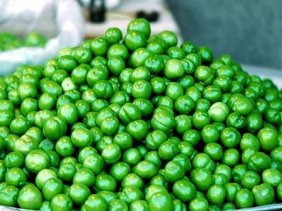 پیش بینی برداشت هزار تن گوجه سبز در خراسان جنوبی