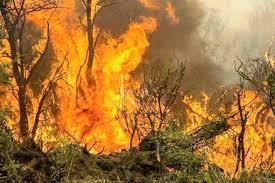 کاهش 43درصدی آتش سوزی مراتع و جنگل‌ها