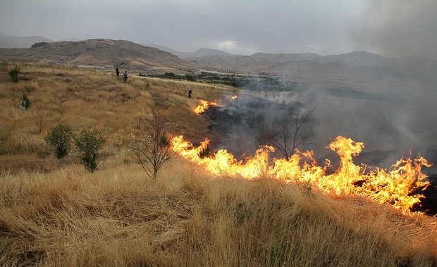 تهدید منابع طبیعی با آتش زدن بقایای زراعی و باغی در فارس / چهارشنبه /