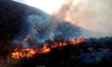 آتش بر جان اراضی روستای لات الموت غربی 