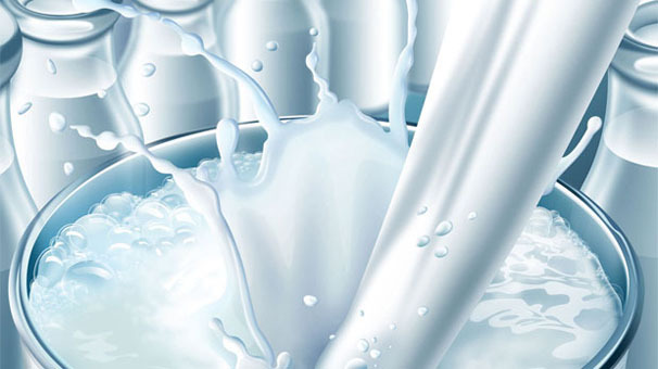 دامداران نگران کاهش تقاضای شیر نباشند