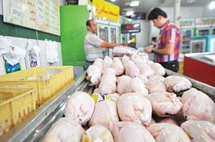 توزیع  هزار تن مرغ منجمد در سیستان و بلوچستان با هدف تنظیم بازار